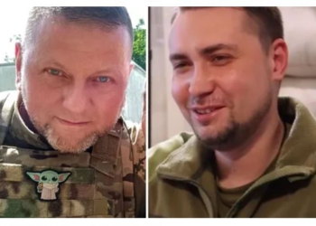 Зеленський присвоїв звання Героя України Залужному, Буданову і полковнику Агеєву (ВІДЕО)