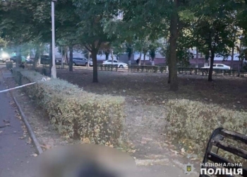На Миколаївщині будуть судити южноукраїнця за вбивство (ФОТО)