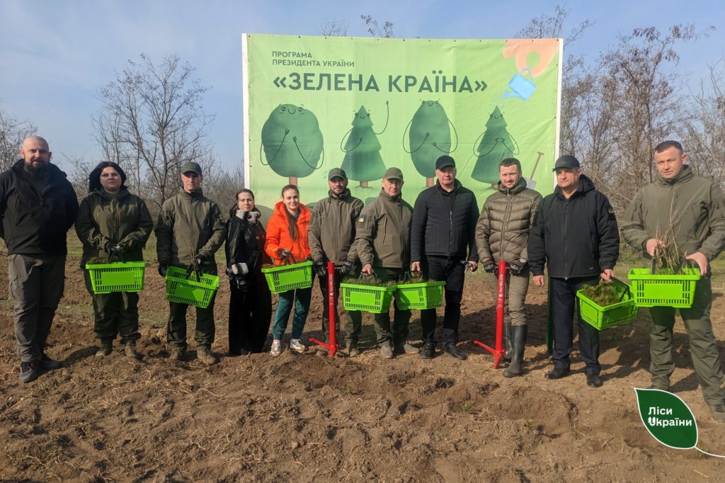 На Миколаївщині цієї весни лісівники планують висадити 8 млн. дерев (ФОТО) 1