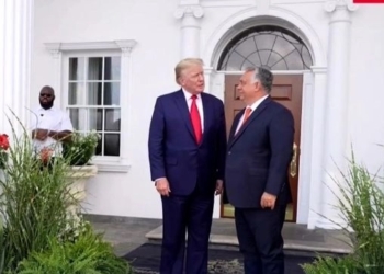 Вони кучкуються: Орбан зустрівся з Трампом