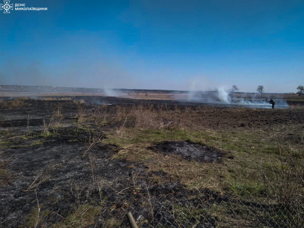 На Миколаївщині за добу вогнеборці ліквідували 12 пожеж (ФОТО) 1
