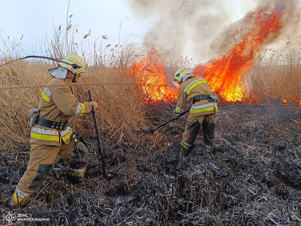 На Миколаївщині за добу вигоріли 12 га. Цих пожеж могло не бути (ФОТО) 2