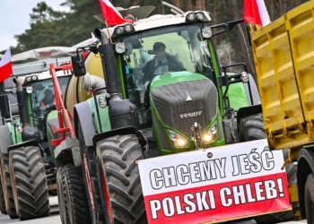 Польські фермери блокують перетин кордону з Німеччиною