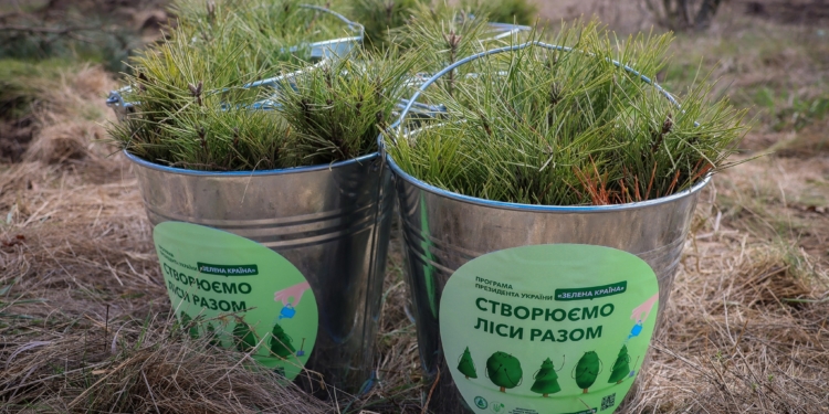 До Всесвітнього дня лісів рятувальники Миколаївщини висаджували молоді сосни та дуби (ФОТО)