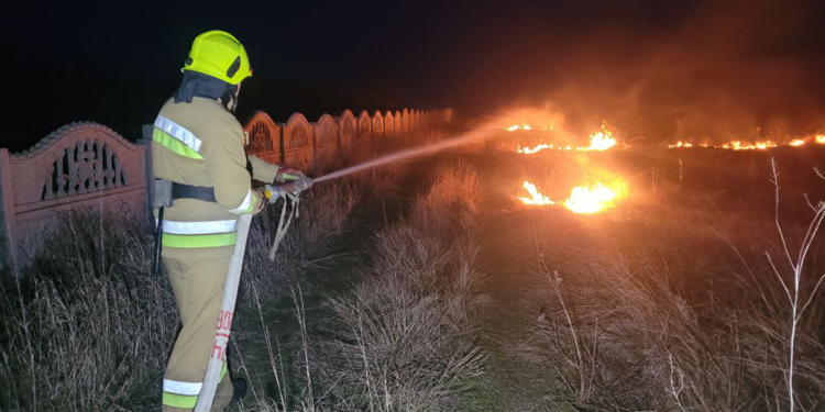 На Миколаївщині за добу вигоріло майже 6,8 га відкритих територій (ФОТО)