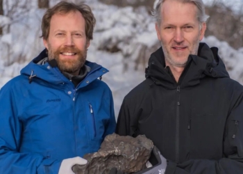 Землевласник у Швеції відсудив метеорит (ФОТО)