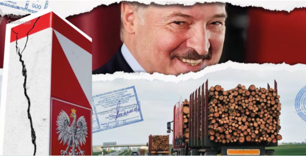 Польща завозить з Білорусі підсанкційну деревину нібито з Казахстану за фальшивими документами 10