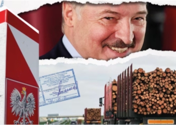 Польща завозить з Білорусі підсанкційну деревину нібито з Казахстану за фальшивими документами
