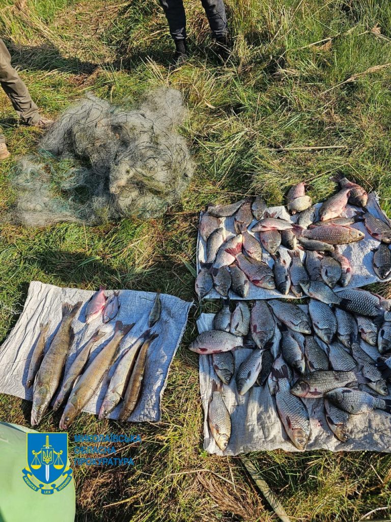 На Миколаївщині браконьєр отримав 2 роки обмеження волі 1