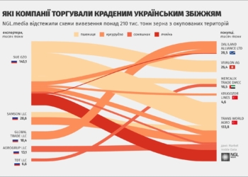 Хто, де і як продає і купує вкрадене росіянами українське зерно – дослідження