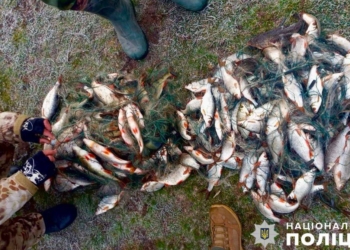 На Єланецькому водосховищі на Миколаївщині зловили браконьєрів (ФОТО)