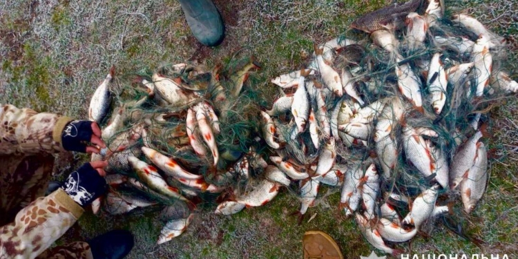 На Єланецькому водосховищі на Миколаївщині зловили браконьєрів (ФОТО)