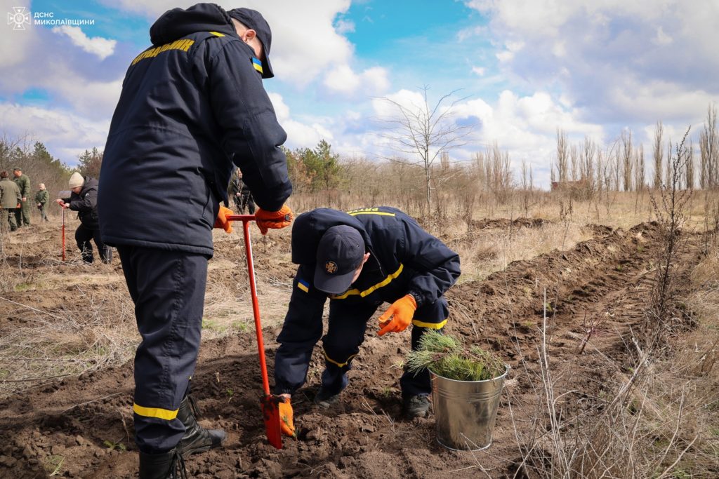 До Всесвітнього дня лісів рятувальники Миколаївщини висаджували молоді сосни та дуби (ФОТО) 21