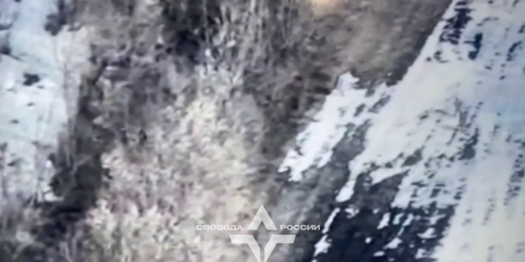 Передвиборчий рейд російських “легіонерів” – стверджують, що захопили Тьоткіно (ВІДЕО)