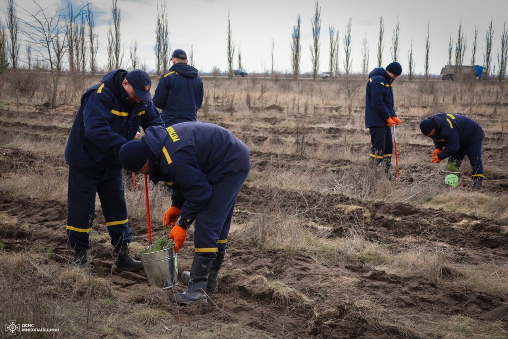 До Всесвітнього дня лісів рятувальники Миколаївщини висаджували молоді сосни та дуби (ФОТО) 24