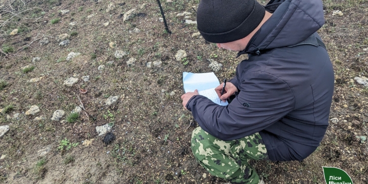 На Миколаївщині вчені шукають нові ділянки для лісорозведення (ФОТО)