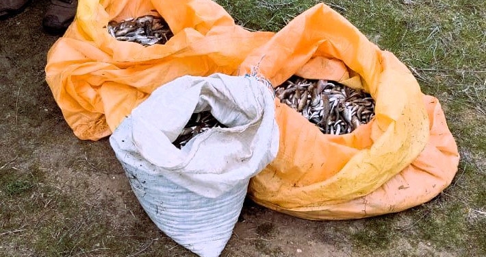 На Березанському лимані Миколаївщині затримано браконьєра, який незаконним виловом риби наніс збитки на 840 тис.грн. (ФОТО)