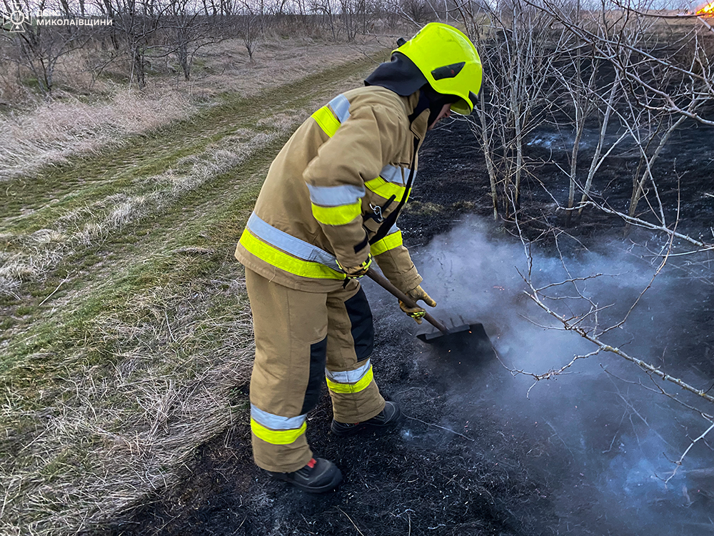 На Миколаївщині через підпали знову горять екосистеми (ФОТО) 4