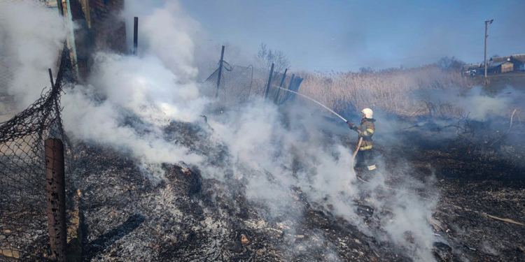 Через пожежу сухої трави та очерету у Баштанці ледь не згоріли житловий будинок та господарчі споруди (ФОТО)