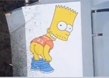 Рашисти бідкаються через новий український дрон-камікадзе з “г*вна та палок”. Чому це найкраще рішення (ФОТО)