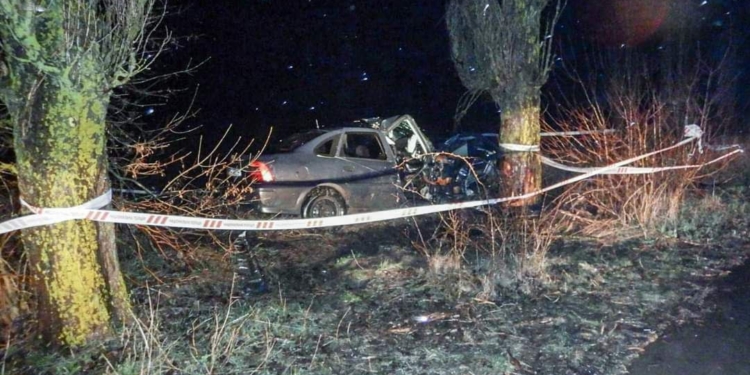 Скоїв смертельне ДТП у Вознесенському районі та зник з місця події: на Миколаївщині затримали п’яного водія (ФОТО)