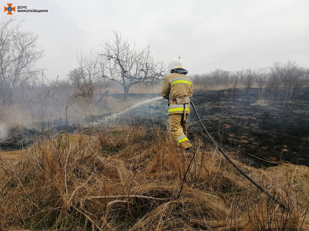 На Миколаївщині за добу вигоріло майже 6,8 га відкритих територій (ФОТО) 6