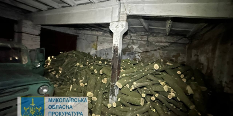 На Миколаївщині викрили злочинну групу, яка провела незаконну порубку лісу на понад 1 млн.грн. (ФОТО)