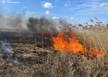 На Миколаївщині вогнеборці ліквідували масштабну пожежу очерету (ФОТО, ВІДЕО)