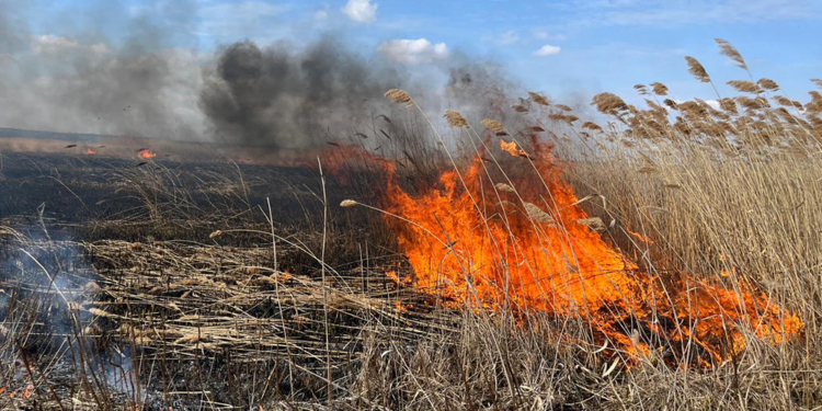 На Миколаївщині вогнеборці ліквідували масштабну пожежу очерету (ФОТО, ВІДЕО)