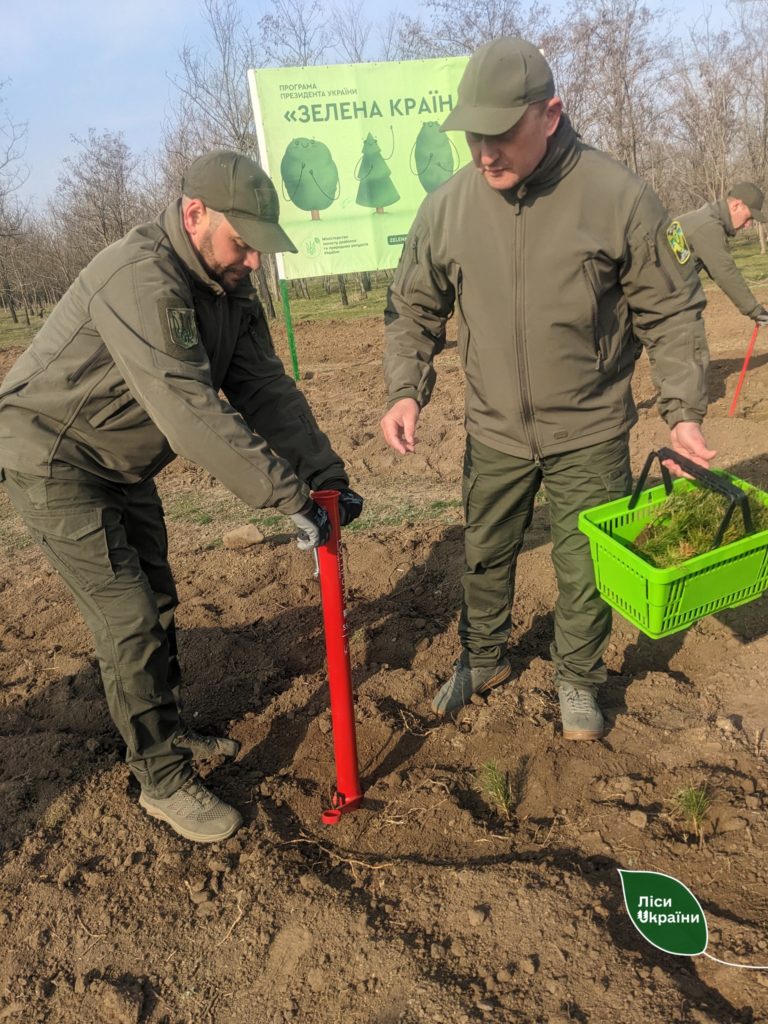 На Миколаївщині цієї весни лісівники планують висадити 8 млн. дерев (ФОТО) 5