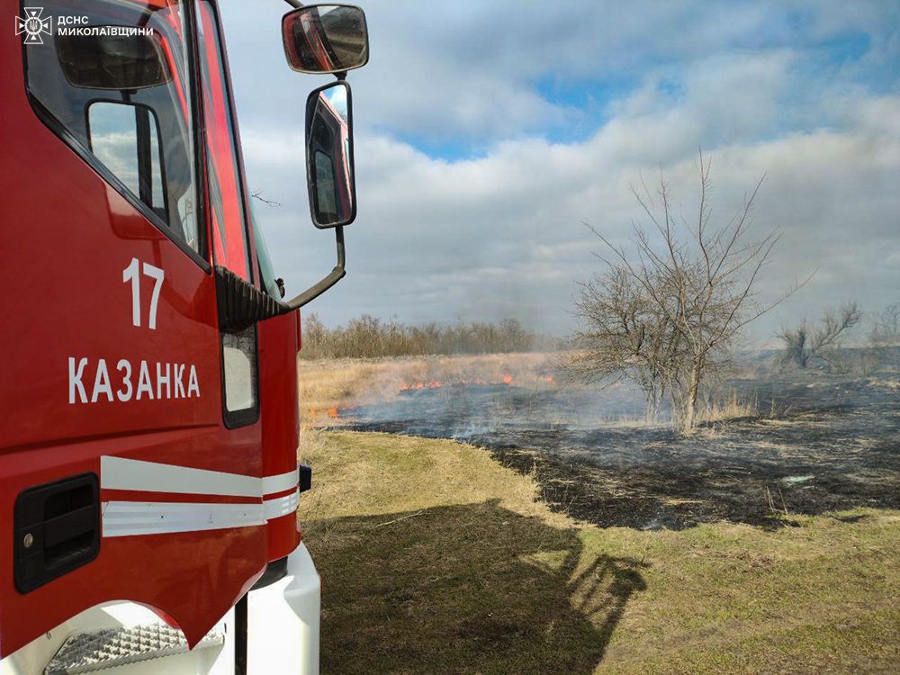 На Миколаївщині через підпали знову горять екосистеми (ФОТО) 6