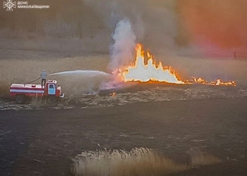 За добу на Миколаївщині 10 пожеж захопили майже 15 га. Їх могло не бути (ФОТО)