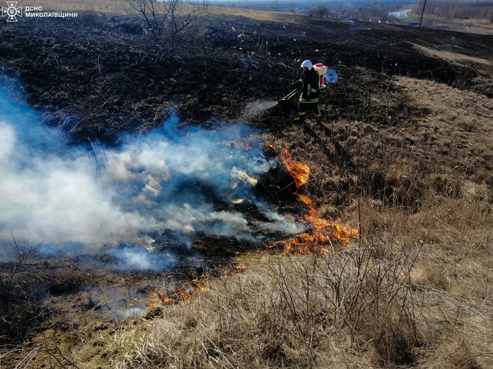 На Миколаївщині за добу вогнеборці ліквідували 12 пожеж (ФОТО) 5