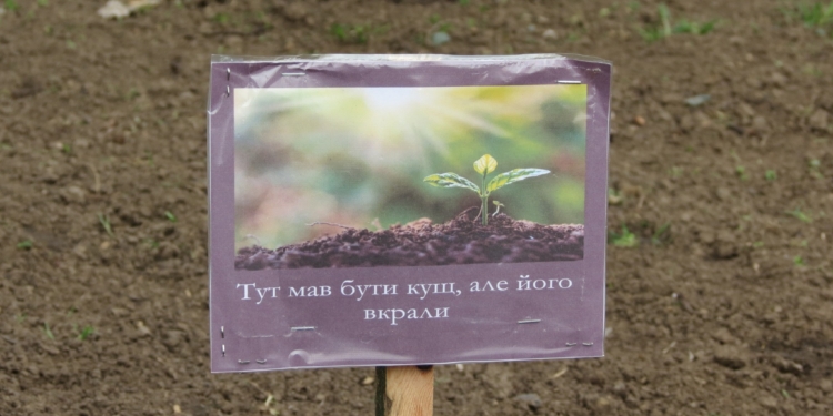 Новий «тренд» Миколаєва? У парках з’явились таблички, що саме тут вкрадено (ФОТО)