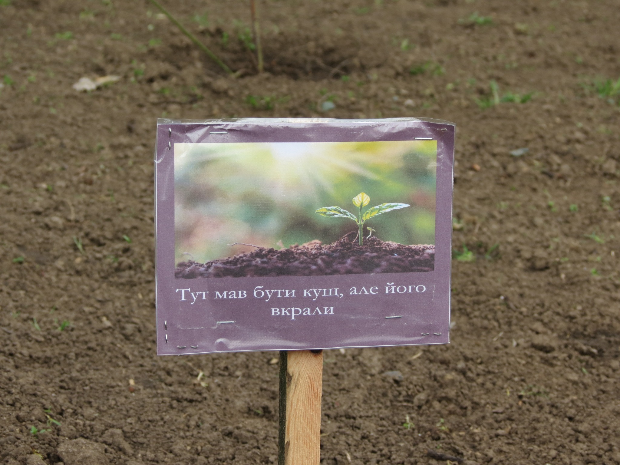 Новий «тренд» Миколаєва? У парках з’явились таблички, що саме тут вкрадено (ФОТО)