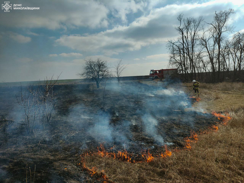 На Миколаївщині через підпали знову горять екосистеми (ФОТО) 8