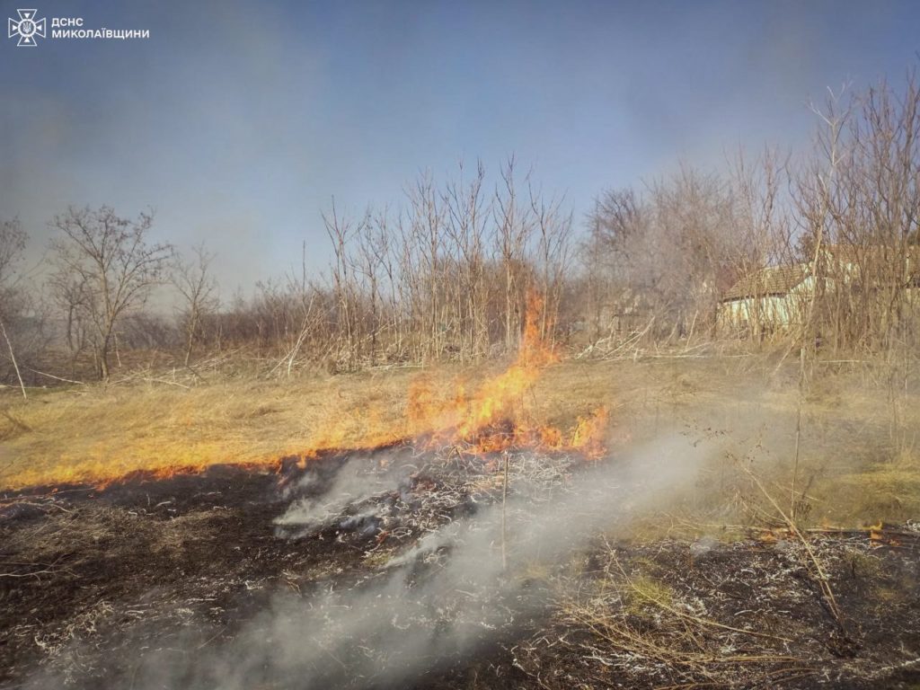 За добу на Миколаївщині 10 пожеж захопили майже 15 га. Їх могло не бути (ФОТО) 8