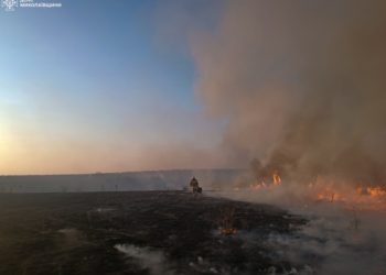 На Миколаївщині за добу вогнеборці ліквідували 12 пожеж (ФОТО)