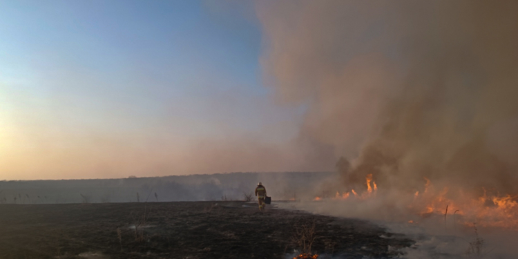 На Миколаївщині за добу вогнеборці ліквідували 12 пожеж (ФОТО)