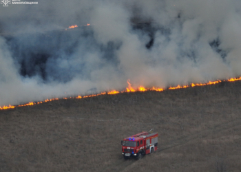 На Миколаївщині за добу вигоріло майже 10 га відкритих територій (ФОТО)