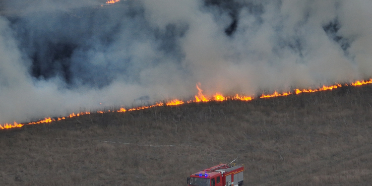На Миколаївщині за добу вигоріло майже 10 га відкритих територій (ФОТО)