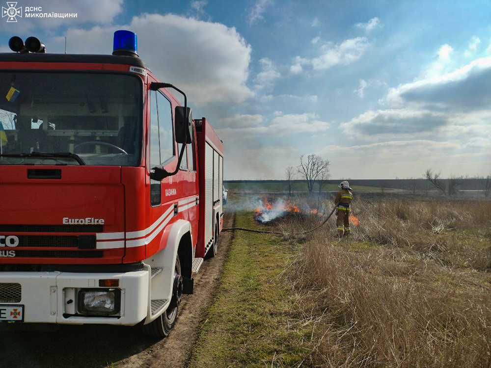 На Миколаївщині через підпали знову горять екосистеми (ФОТО) 10