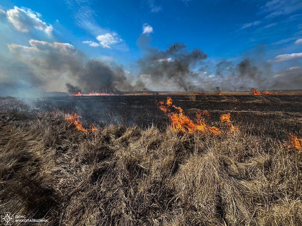 На Миколаївщині за добу вогнеборці ліквідували 12 пожеж (ФОТО) 9