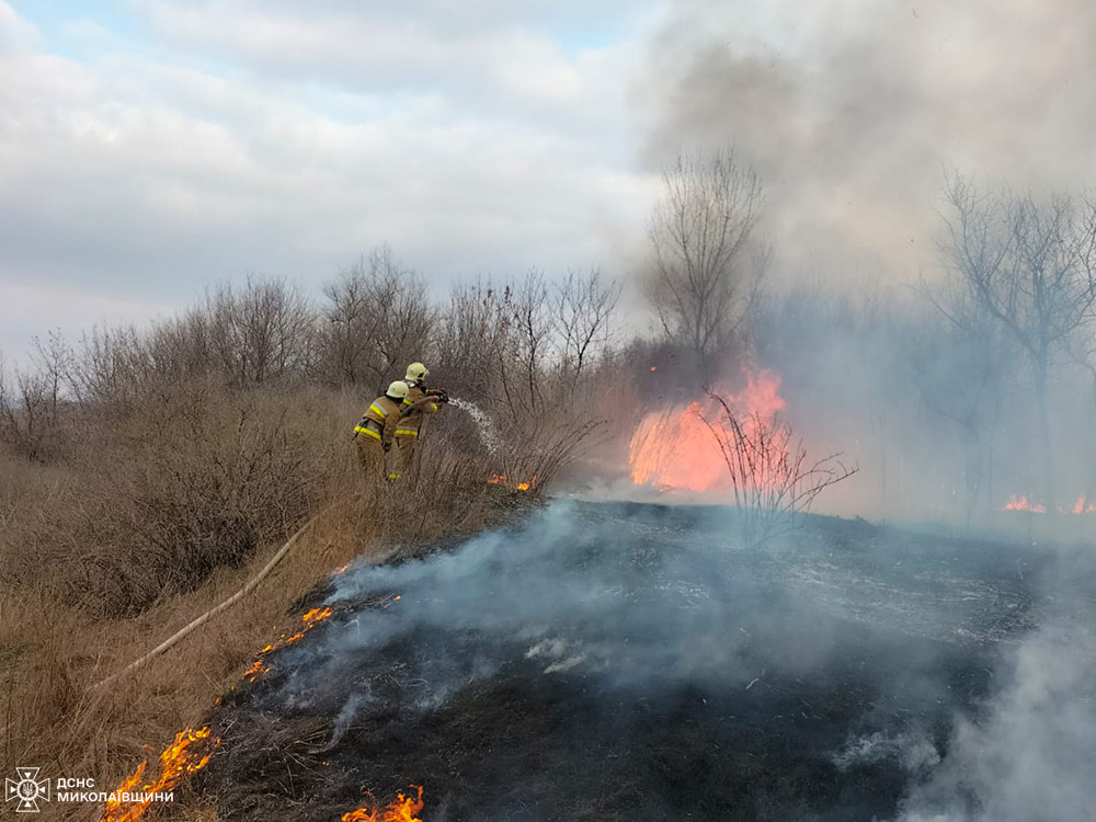 На Миколаївщині за добу вигоріло майже 10 га відкритих територій (ФОТО) 12