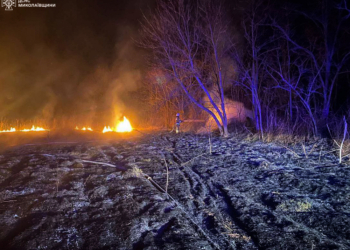 На Миколаївщині через підпали знову горять екосистеми (ФОТО)