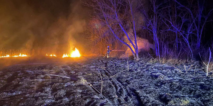 На Миколаївщині через підпали знову горять екосистеми (ФОТО)