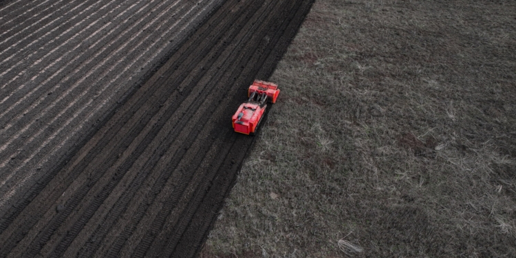 На Миколаївщині тільки за сьогодні вдалось звільнити від російських мін та снарядів 2,5 га земель (ФОТО)