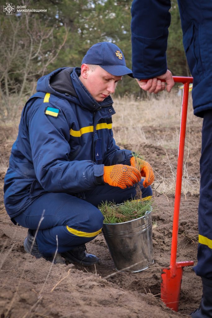 До Всесвітнього дня лісів рятувальники Миколаївщини висаджували молоді сосни та дуби (ФОТО) 13