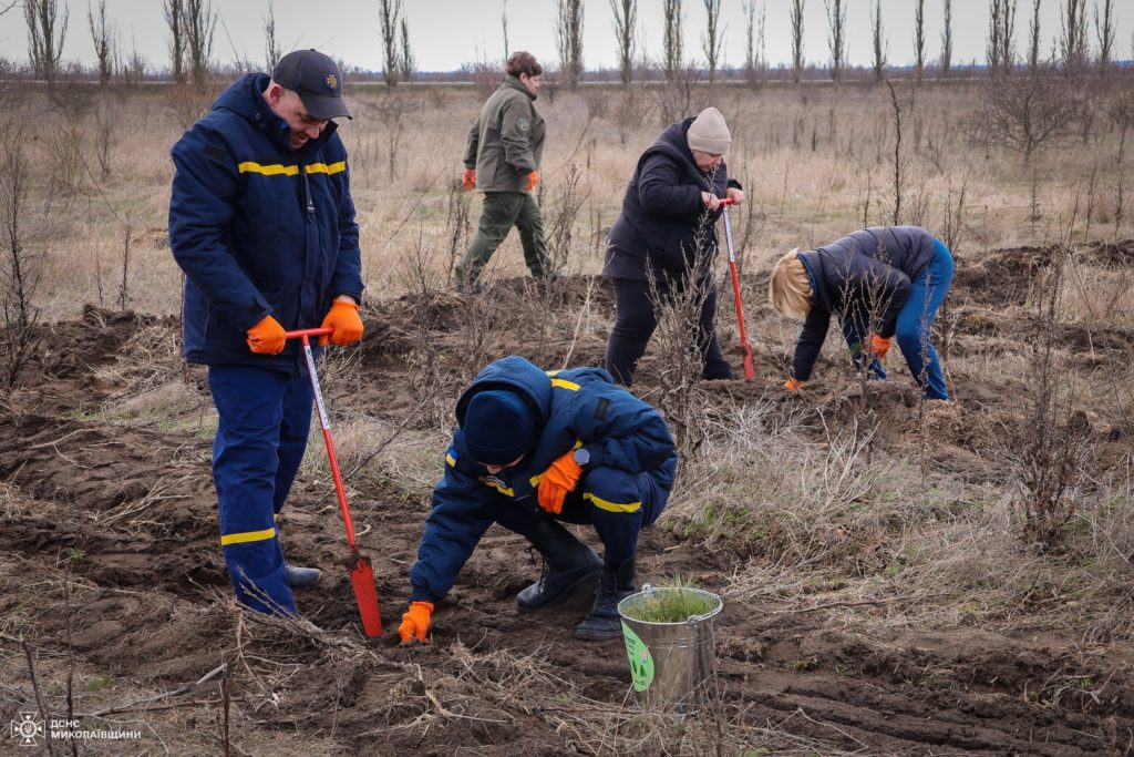 До Всесвітнього дня лісів рятувальники Миколаївщини висаджували молоді сосни та дуби (ФОТО) 16