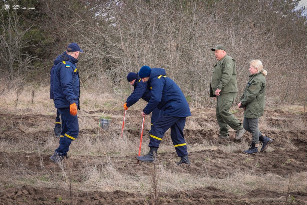 До Всесвітнього дня лісів рятувальники Миколаївщини висаджували молоді сосни та дуби (ФОТО) 18